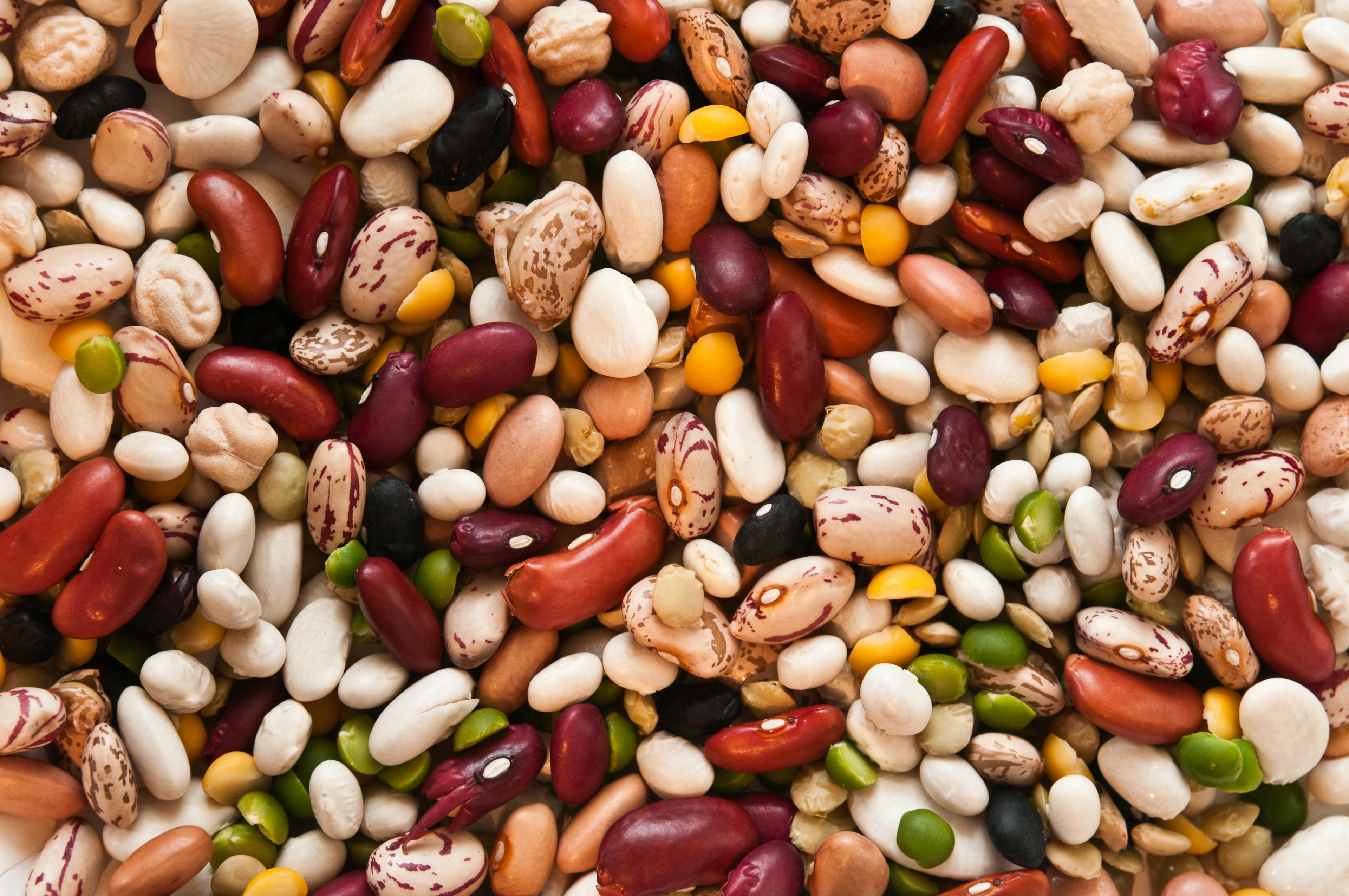 Mix Bean variety