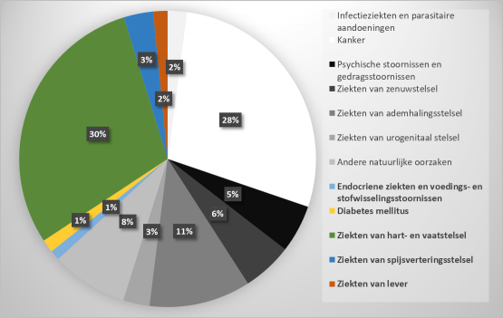 Voeding en gezondheid: het een kan niet zonder het ander ...